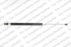 CITRO 700000210365D0 Gas Spring, boot-/cargo area